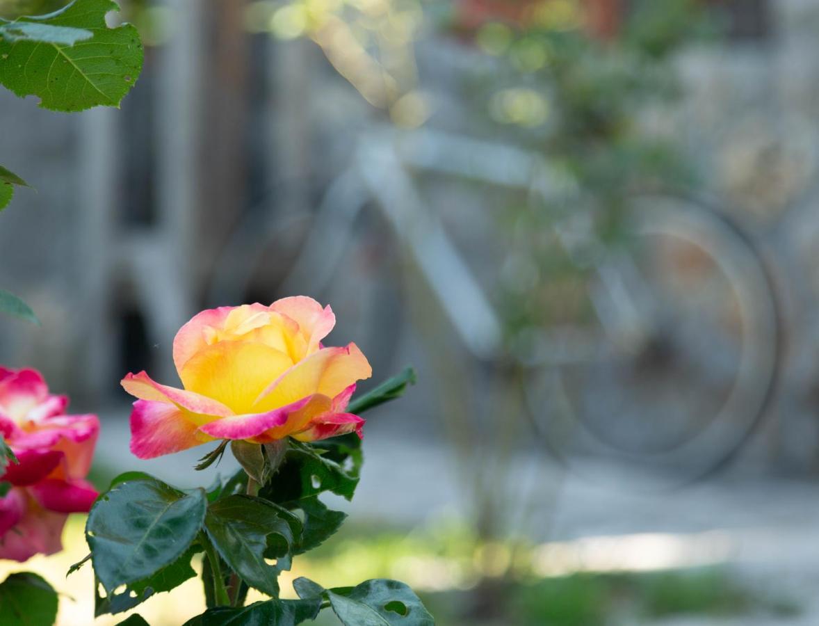 Plamenatz Studio Apartments Virpazar Dış mekan fotoğraf